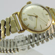 Laden Sie das Bild in den Galerie-Viewer, Luxus 21 Rubis Armbanduhr Herren Handaufzug