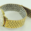 Laden Sie das Bild in den Galerie-Viewer, BWC 25 Rubis Herrenuhr Automatic Edelstahl vergoldet REF: 725016