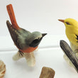 Laden Sie das Bild in den Galerie-Viewer, Sammlung 7 Göbel Porzellanvögel made in Germany

